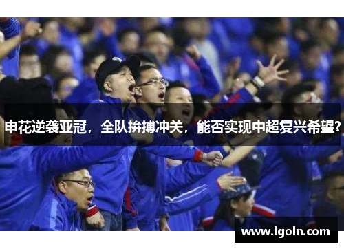 申花逆袭亚冠,全队拚搏冲关,能否实现中超复兴希望?
